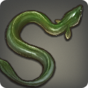 Saltwater Eel