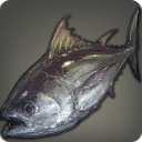 Red Fin Tuna